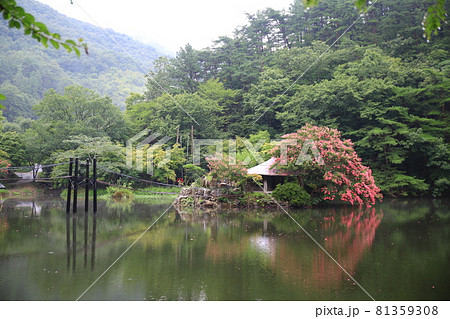 池 ガーデン 庭園 81359308