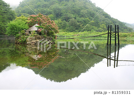 池 ガーデン 庭園 81359331