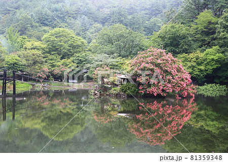 池 ガーデン 庭園 81359348