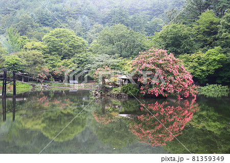 池 ガーデン 庭園 81359349