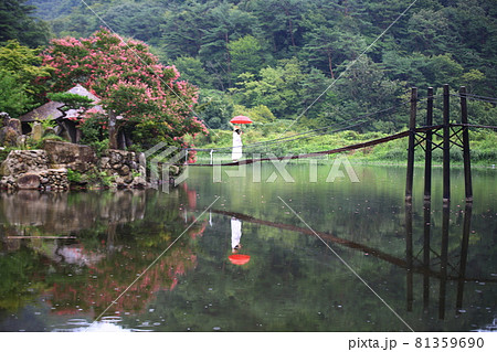 池 ガーデン 庭園 81359690