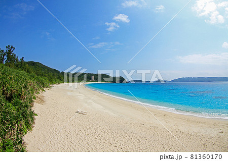 沖縄　慶良間諸島　座間味島　古座間味ビーチ 81360170