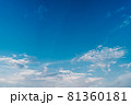 夏の青空 81360181