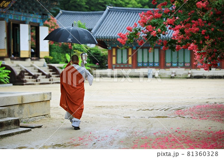 花 女性 女 81360328