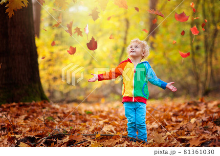 Child in fall park. Kid with autumn leaves. 81361030