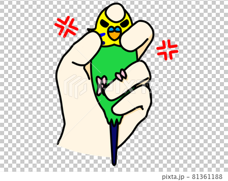 セキセイインコ　保定　怒り 81361188