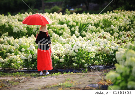 花 花畑 女性 81361352