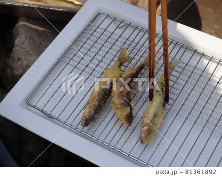 琵琶湖畔 犬上川で小鮎釣り 天ぷらを食すの写真素材