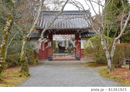 【京都 洛北 常照寺の紅葉】 秋イメージ 【京都 洛北 常照寺の紅葉】 秋イメージ 81361925