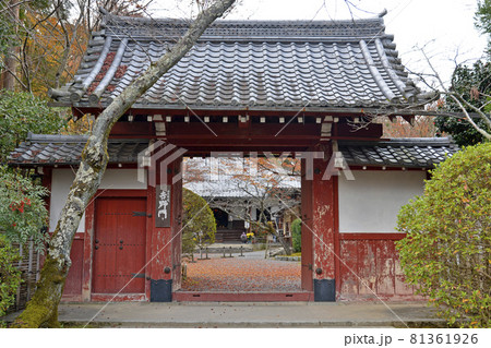 【京都　洛北　常照寺の紅葉】　秋イメージ　 81361926