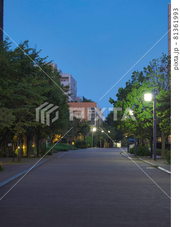 夜明けの多摩ニュータウン住宅街 81361993