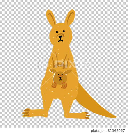 袋鼠（小袋鼠）親子插畫、手繪和散裝插畫 81362067