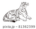 寅年年賀状 81362399