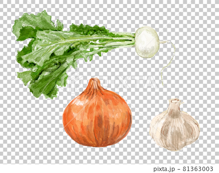 手描きの野菜のイラスト 81363003