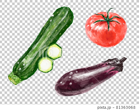 手描きの野菜のイラスト 81363068