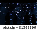 幻想的なサンシャイン水族館のクラゲ 81363396