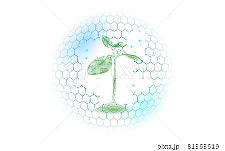 Shield plant sprout ecological abstract concept. 3D render seedling tree leaves. Save planet nature environment grow life eco polygon triangles low poly vector illustration 81363619
