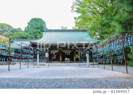 水無瀬神宮本堂と風鈴祭り 水無瀬神宮本堂と風鈴祭り 81364057