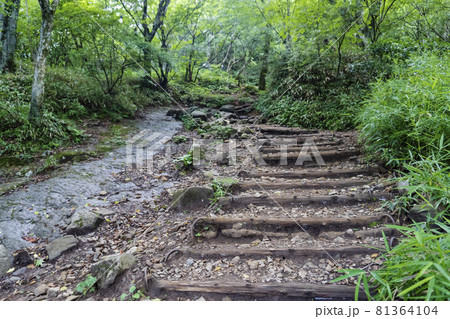 筑波山のハイキングコース【日本100名山】／日本茨城県つくば市 81364104
