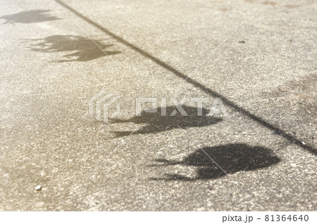 台湾 釣り フィッシング 81364640