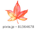 鮮やかな水彩風の紅葉 81364678