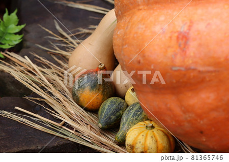 ハロウィンの飾りカボチャ 81365746