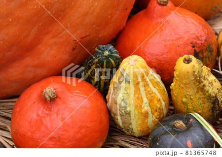 ハロウィンの飾りかぼちゃ 81365748