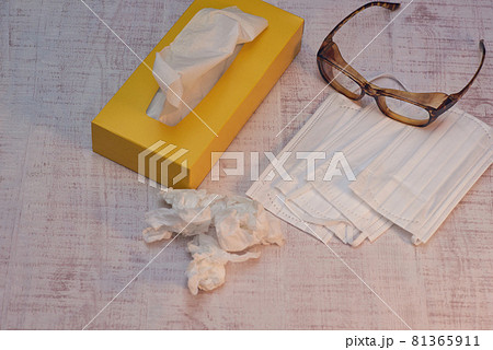 花粉症対策 81365911