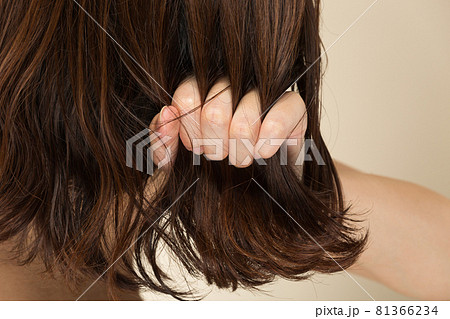 ヘアダメージ. ヘアダメージ. 81366234