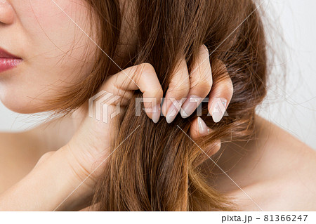 ヘアダメージ. ヘアダメージ. 81366247