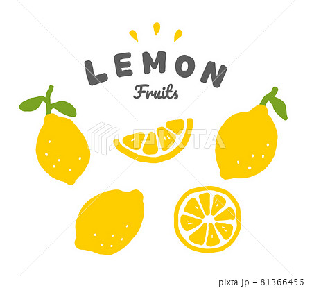 レモンの手描きイラストのセット シンプル フルーツ 果物 柑橘系 シトラス 夏 かわいい 果実 断面のイラスト素材