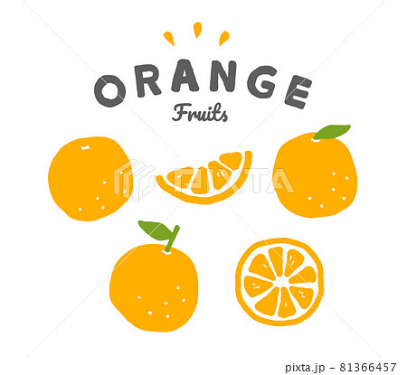 オレンジの手描きイラストのセット シンプル フルーツ 果物 柑橘系 シトラス 夏 ミカン 果実 断面のイラスト素材