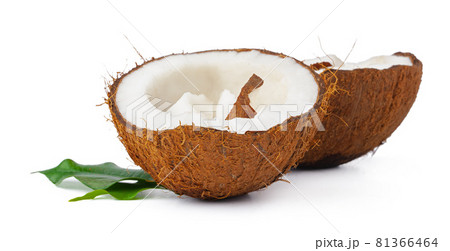 broken coconut on a white background close up broken coconut on a white background close up 81366464