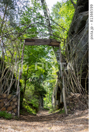 Entrance to the canyon from natural materials Entrance to the canyon from natural materials 81366599