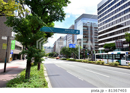 福岡市　大博通り　JR博多駅　都市風景　 81367403