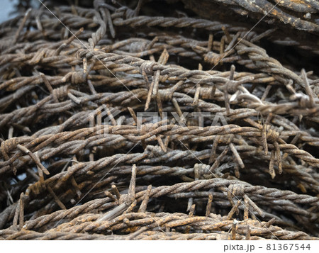 first world war wwi barbed wire 81367544