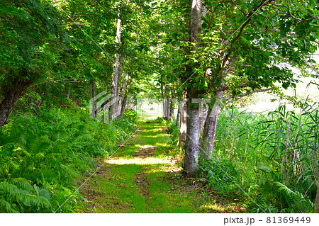 旧鶴居軌道 旧鶴居軌道 81369449