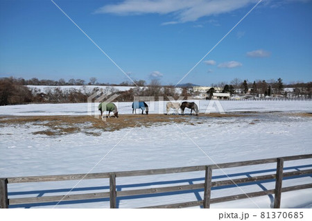 北海道の風景「冬の牧場」（北海道新ひだか町） 81370685