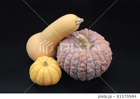カボチャの集合（バターナッツ、菊かぼちゃ、プッチーニ） 81370984