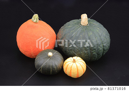 カボチャの集合ファミリー風（プッチーニ、黒皮栗カボチャ、コリンキー、鈴かぼちゃ） 81371016