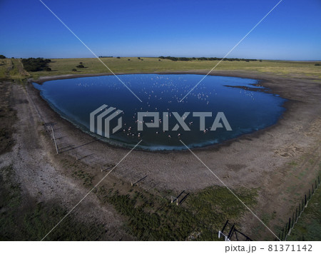 Pampas lagoon, aerial view 81371142