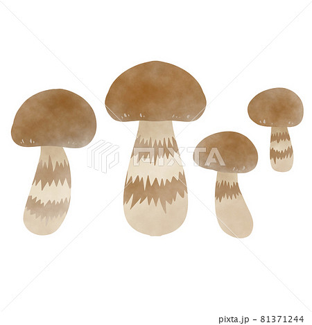 水彩風 松茸 イラストのイラスト素材