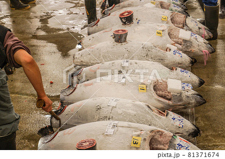 築地市場のマグロの競り 81371674