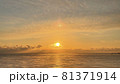 朝の光 81371914