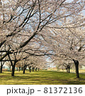 地元の素敵な場所 81372136