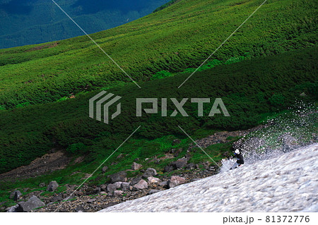 乗鞍大雪渓上部飛左側で雲上の夏スキー 81372776