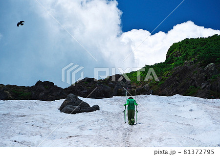 乗鞍大雪渓下部で雲上の夏スキー 乗鞍大雪渓下部で雲上の夏スキー 81372795