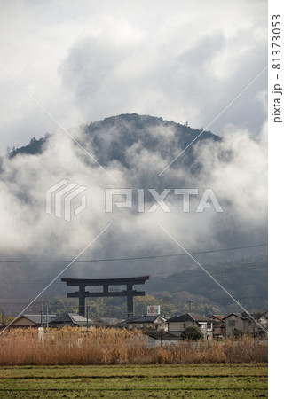 三輪山 81373053