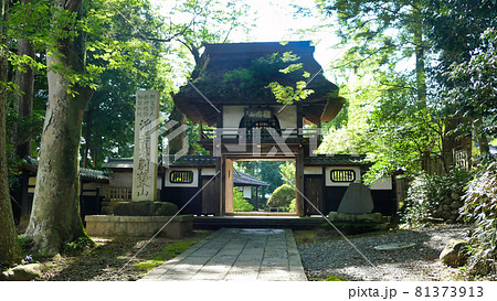 稲田禅房 西念寺 山門とモミジ 稲田禅房 西念寺 山門とモミジ 81373913