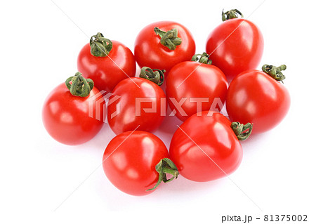 ミニトマト（キャロル） 81375002